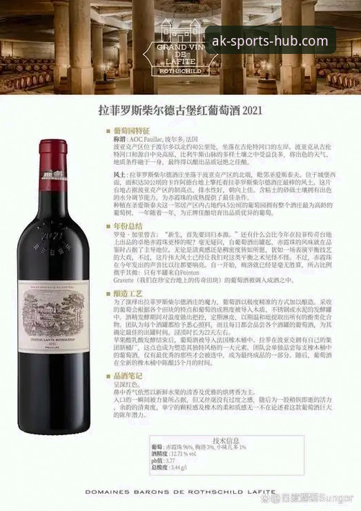 拉菲尼亚伤停背后：巴西队内层级问题深度解析